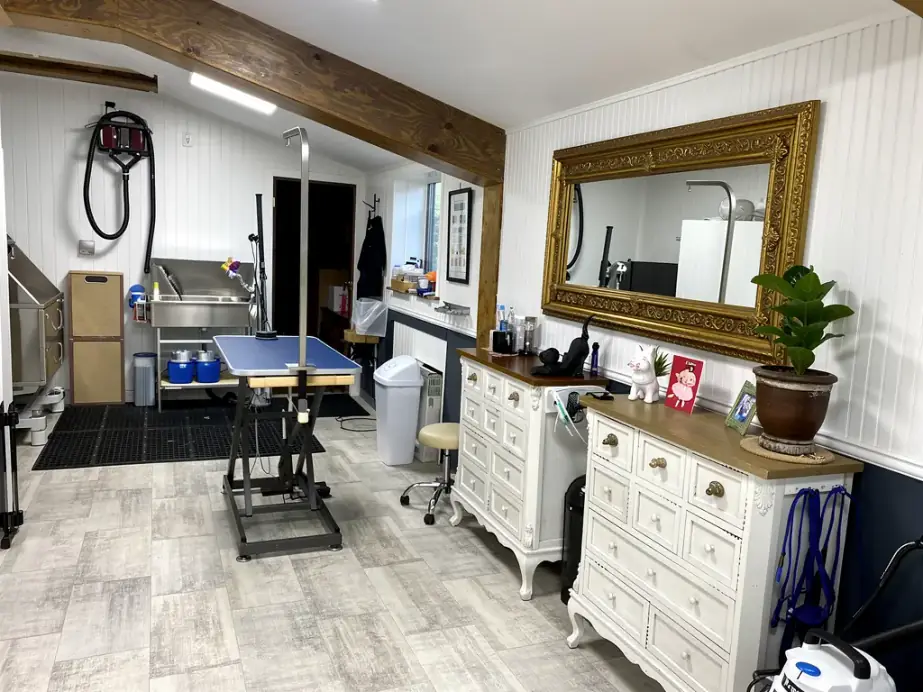 Grooming room with a blue grooming table, stainless tub, gilt mirror and white chests of drawers