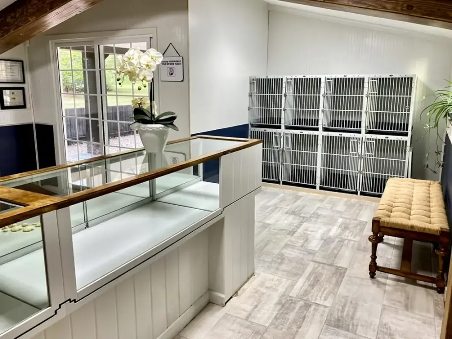 Reception counter with a white orchid in front of a wall of white kennels