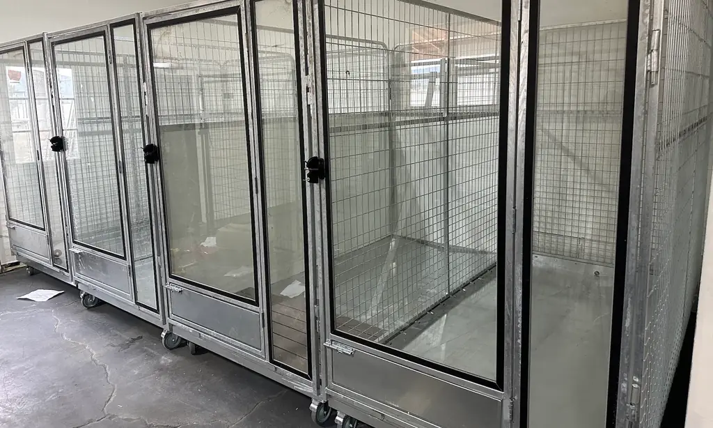Stainless and glass kennel runs on a sealed concrete floor